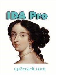 IDA Pro 7.6.210427 Crack + Torrent Free Download (2021)