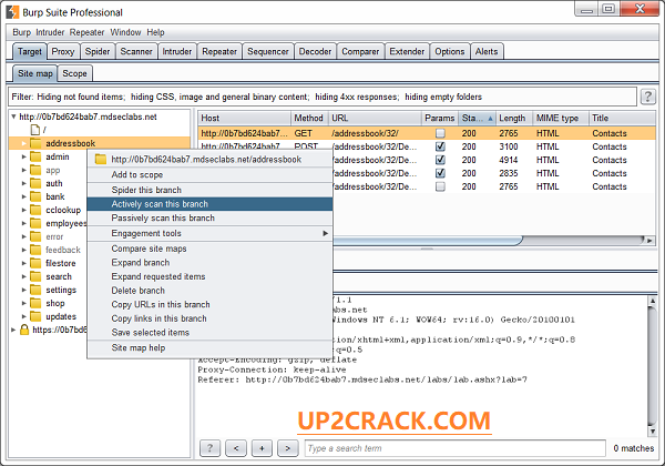 Burp Suite Pro Crack 2022 Download For Windows (Linux) & PC