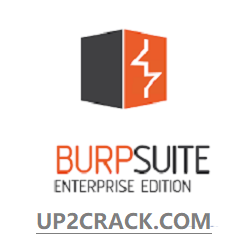 Burp Suite Professional 2022.1.1 Crack With Torrent Latest Download