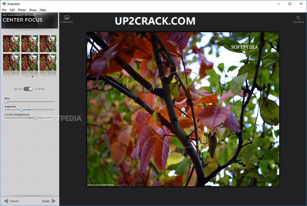 Snapseed Crack + Torrent & Keygen (Key) Free Download 2022